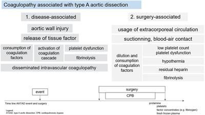 Perioperative hemostatic management of patients with type A aortic dissection